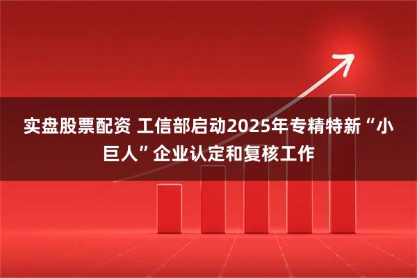 实盘股票配资 工信部启动2025年专精特新“小巨人”企业认定和复核工作