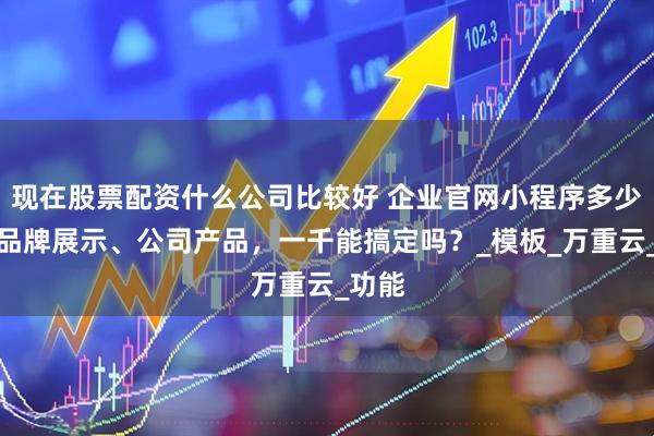 现在股票配资什么公司比较好 企业官网小程序多少钱？品牌展示、公司产品，一千能搞定吗？_模板_万重云_功能